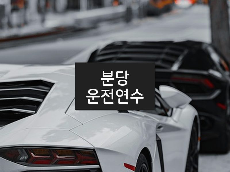 분당운전연수 후기