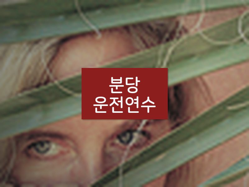 분당운전연수 후기