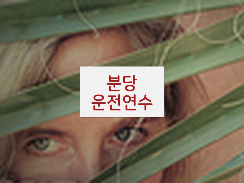분당운전연수 후기