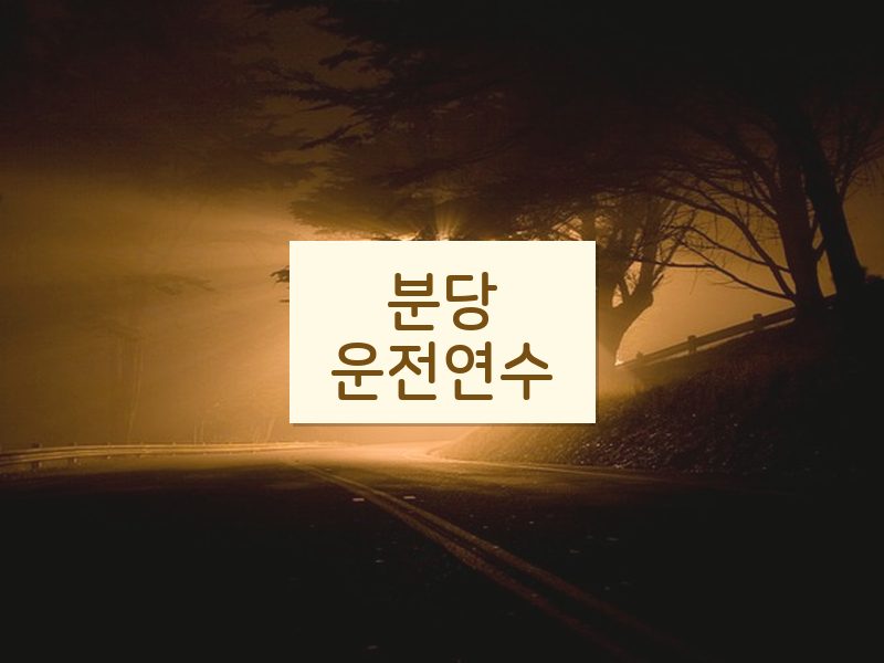 분당운전연수 후기
