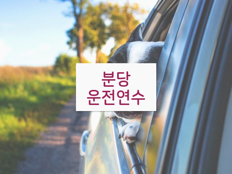 분당운전연수 후기