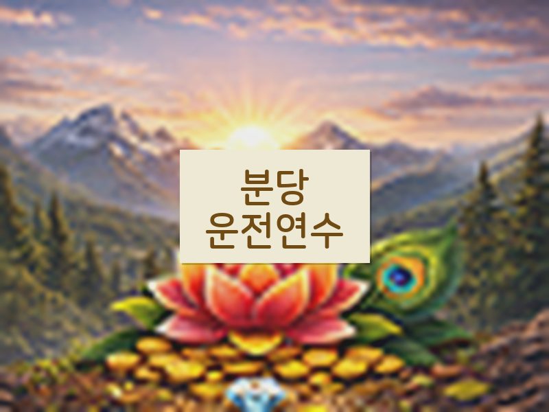 분당운전연수 후기