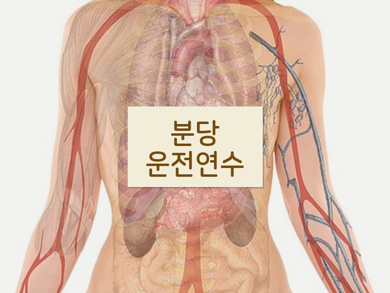 분당운전연수 후기