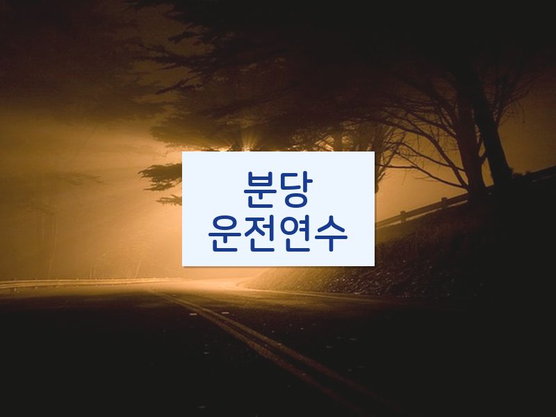 분당운전연수 후기
