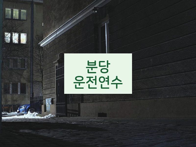 분당운전연수 후기