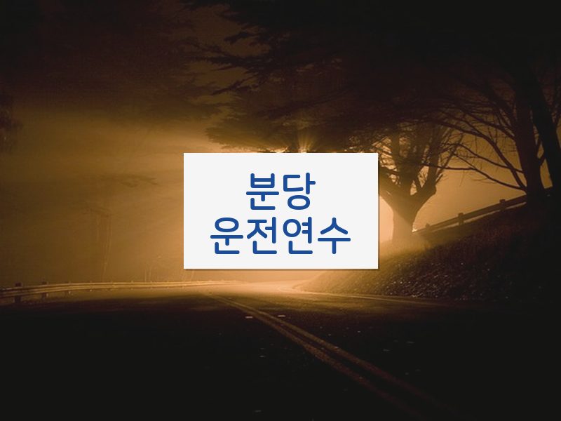 분당운전연수 후기