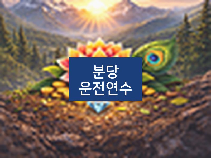 분당운전연수 후기
