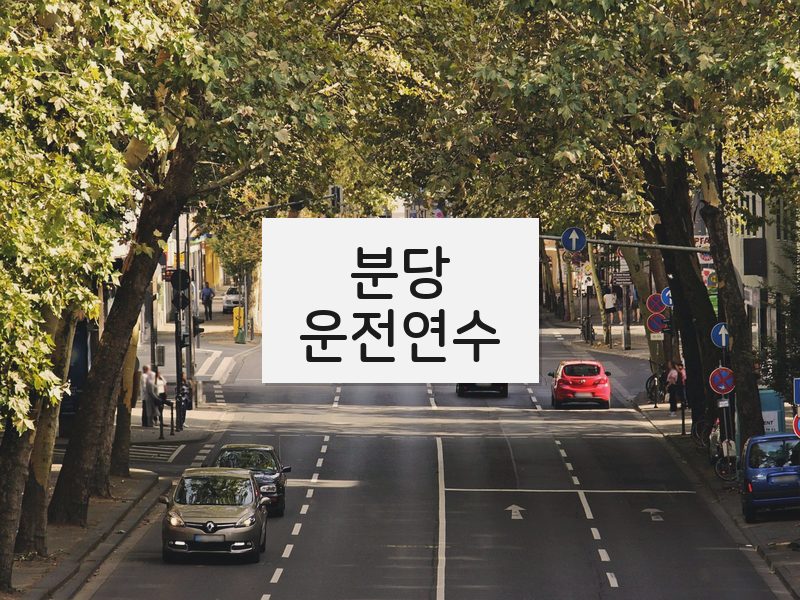 분당운전연수 후기