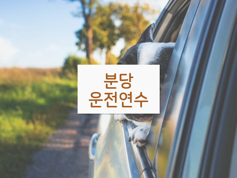 분당운전연수 후기