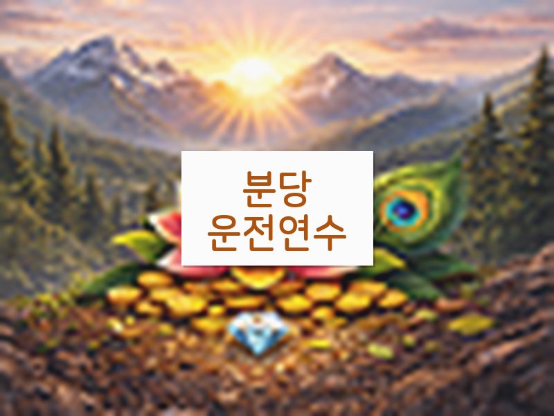 분당운전연수 후기