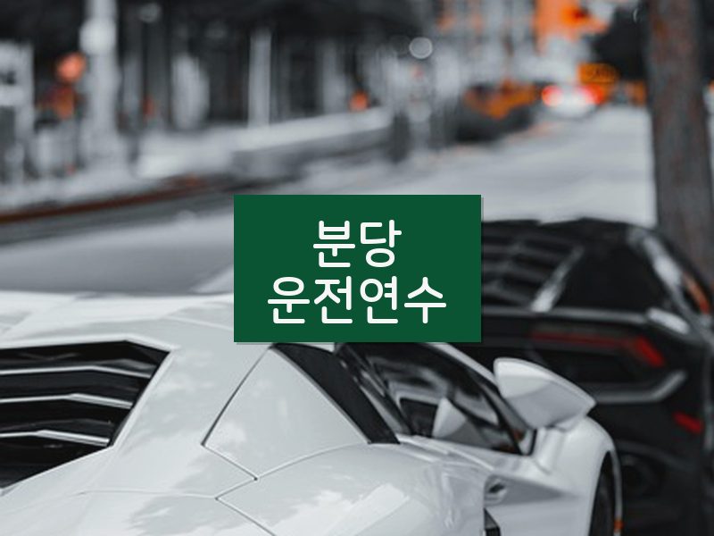 분당운전연수 후기