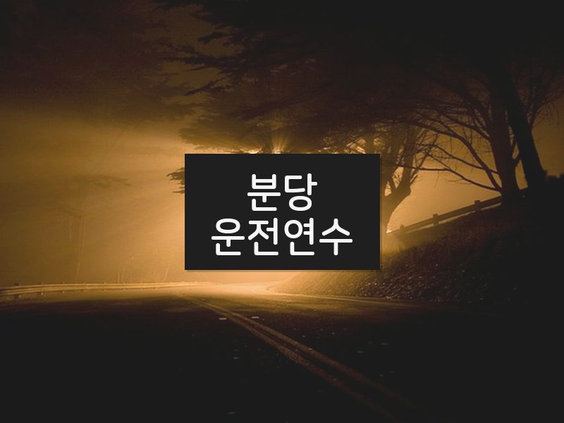 분당운전연수 후기