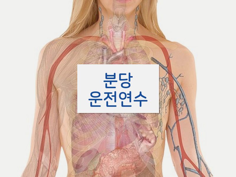 분당운전연수 후기