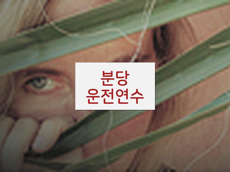분당운전연수 후기