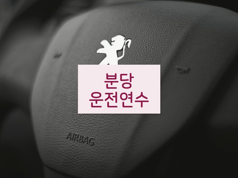 분당운전연수 후기