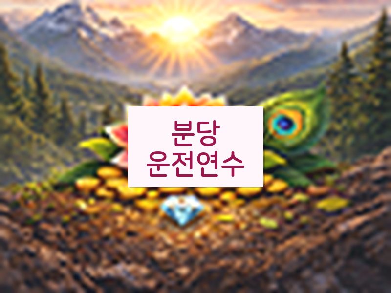 분당운전연수 후기