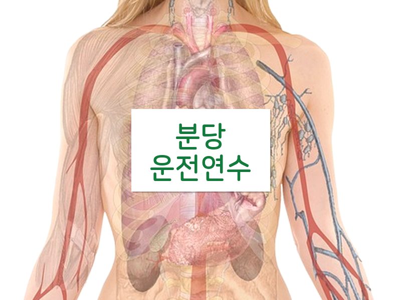 분당운전연수 후기