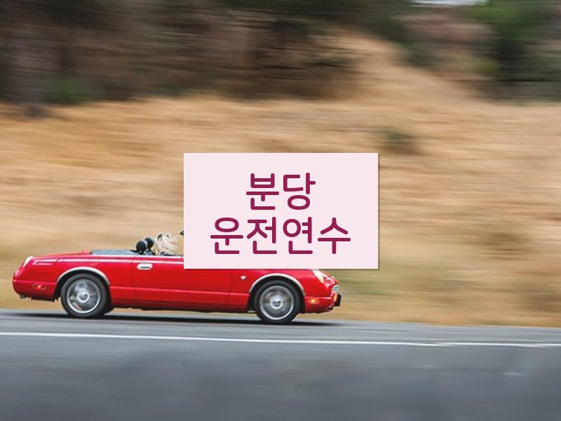 분당운전연수 후기