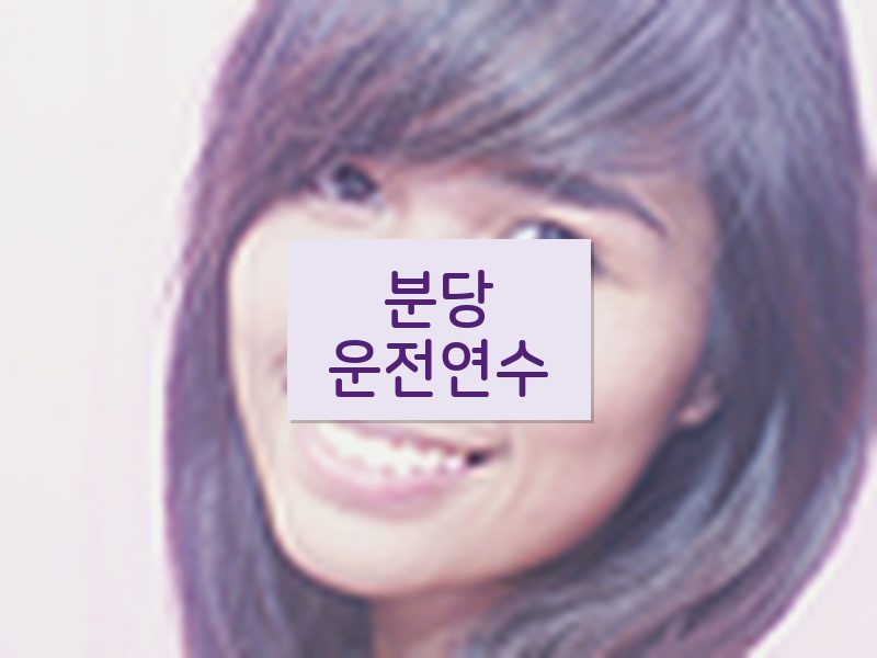 분당운전연수 후기