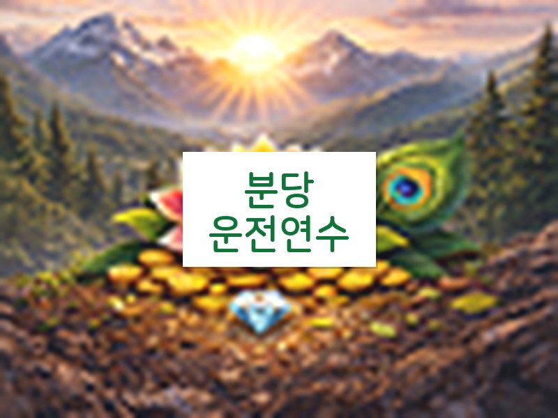 분당운전연수 후기