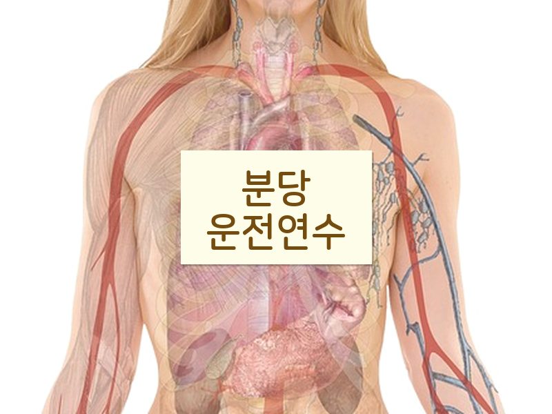 분당운전연수 후기