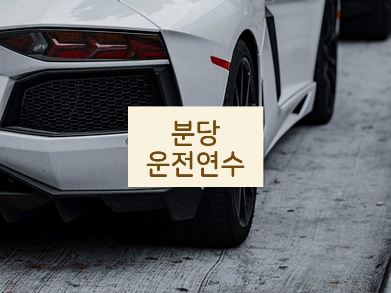 분당운전연수 후기