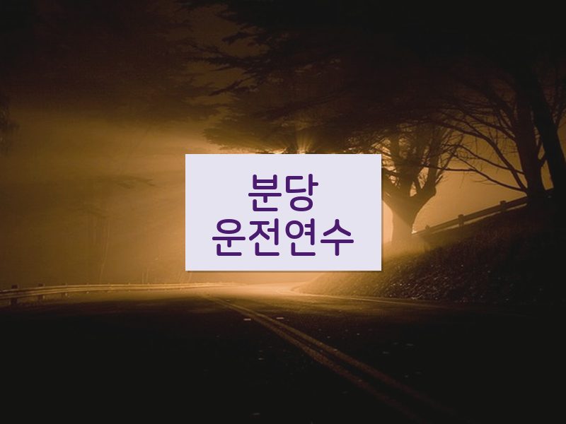 분당운전연수 후기