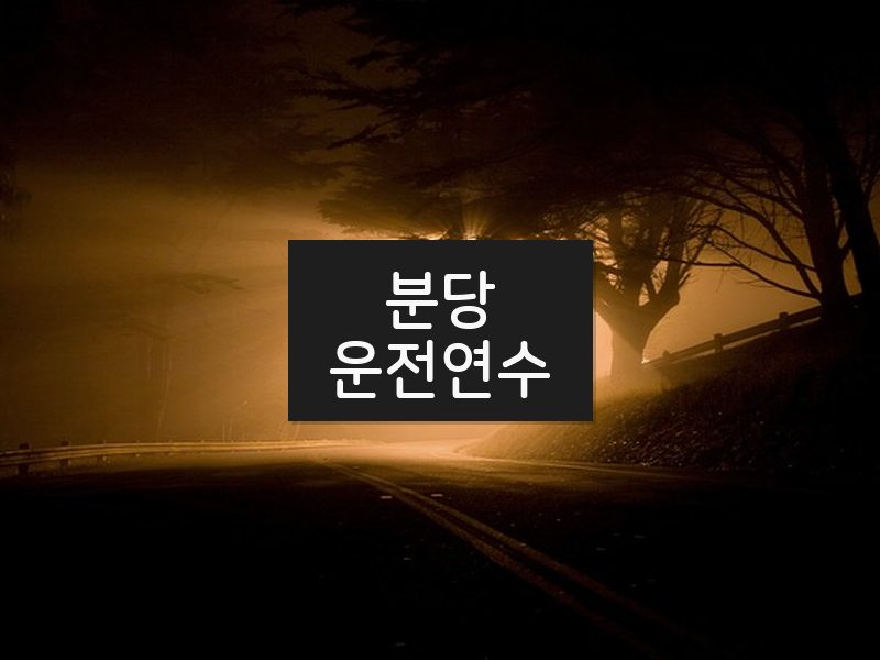 분당운전연수 후기