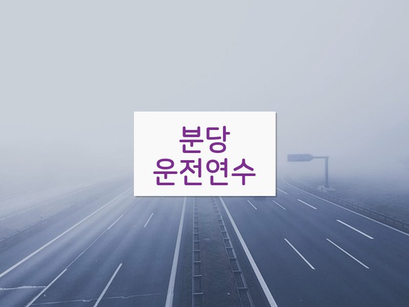 분당운전연수 후기