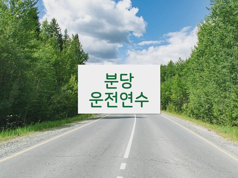 분당운전연수 후기