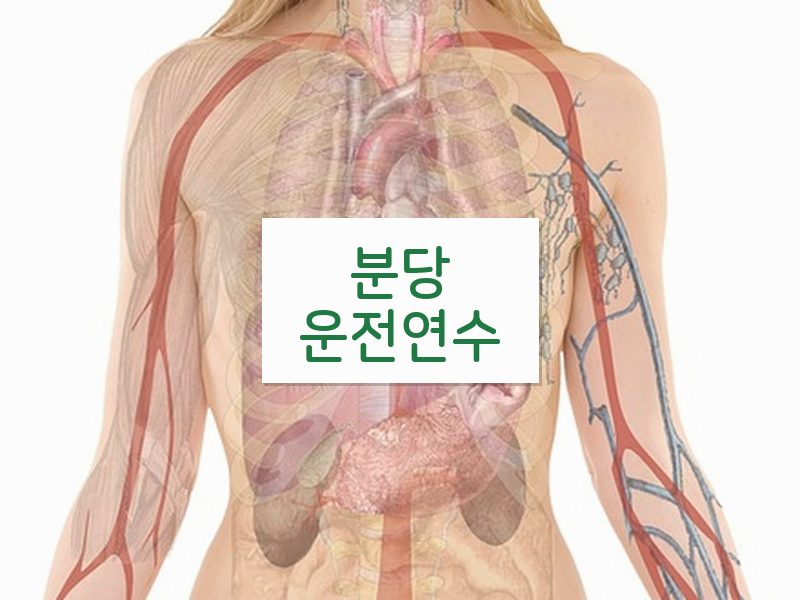 분당운전연수 후기