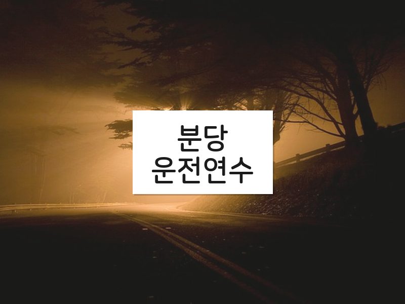 분당운전연수 후기