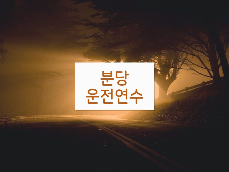 분당운전연수 후기