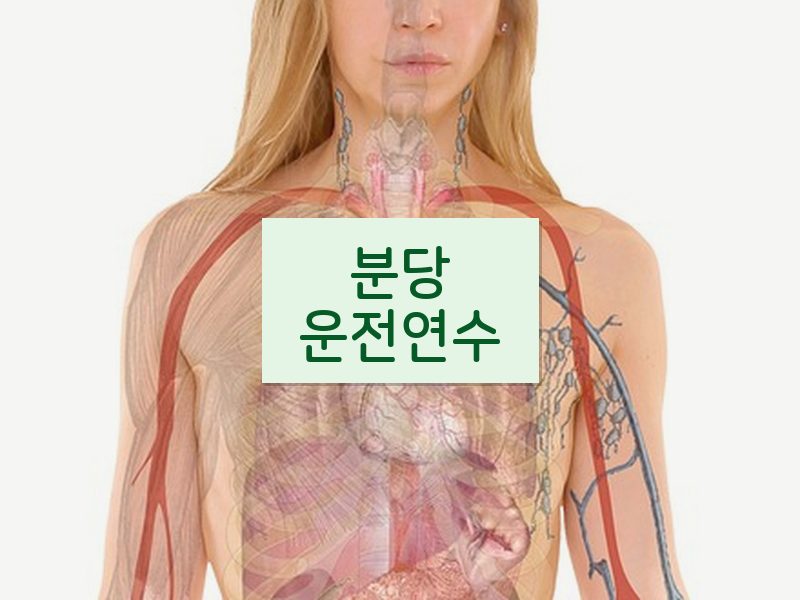 분당운전연수 후기