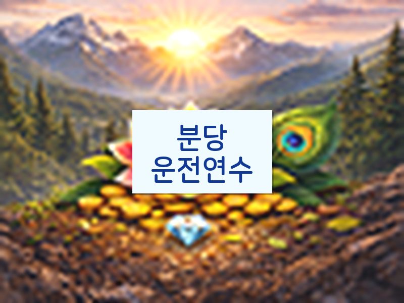 분당운전연수 후기