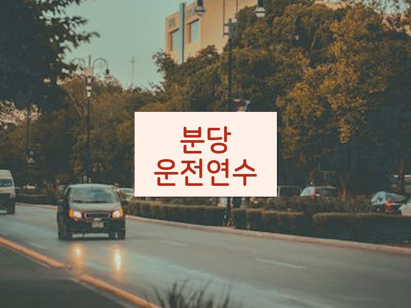 분당운전연수 후기