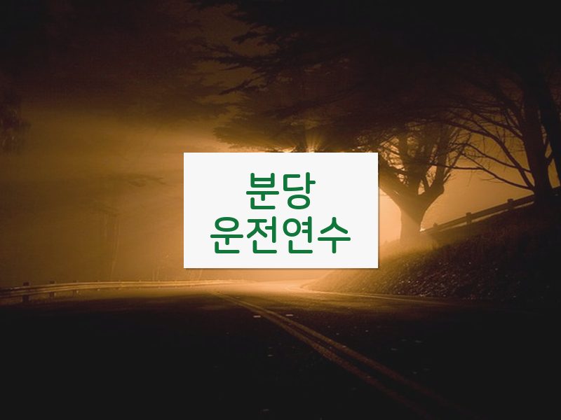 분당운전연수 후기