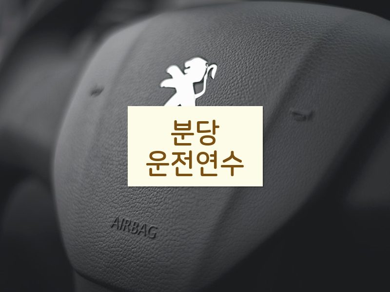 분당운전연수 후기