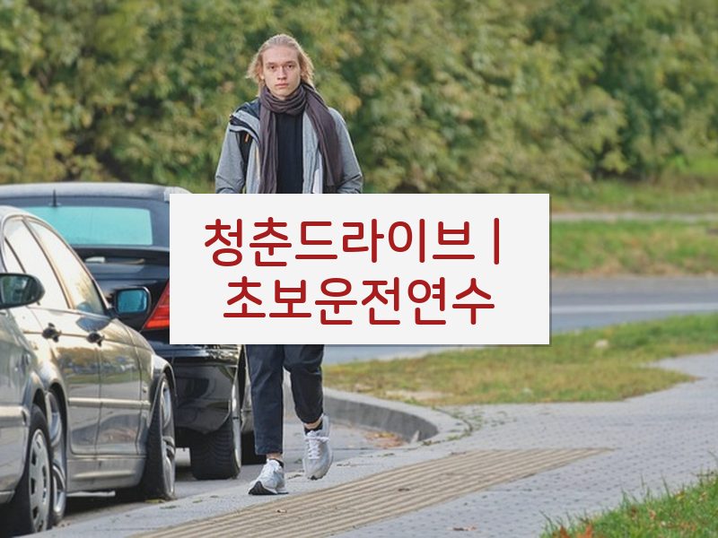 청춘드라이브 | 초보운전연수 후기