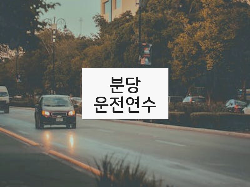 분당운전연수 후기