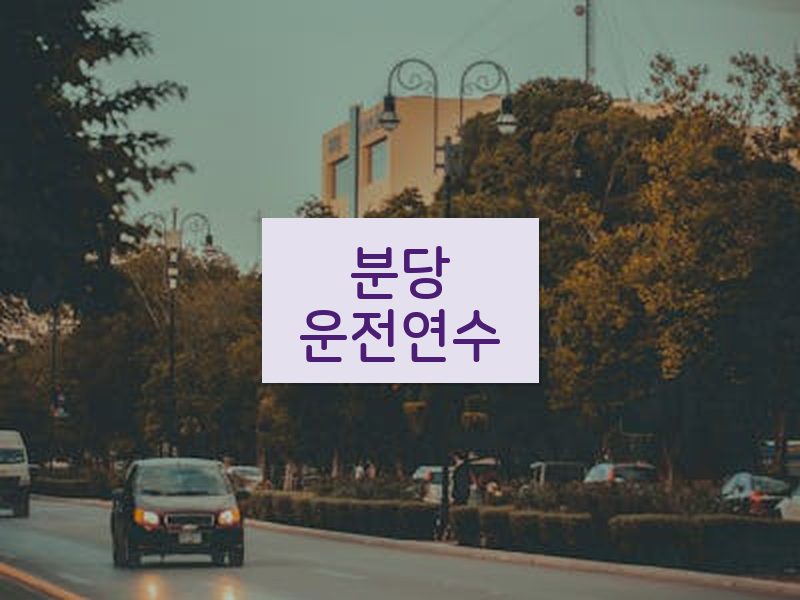 분당운전연수 후기
