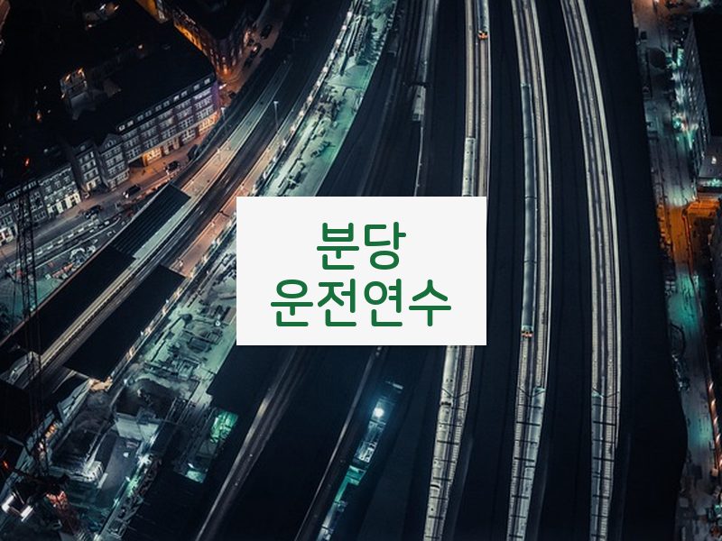 분당운전연수 후기