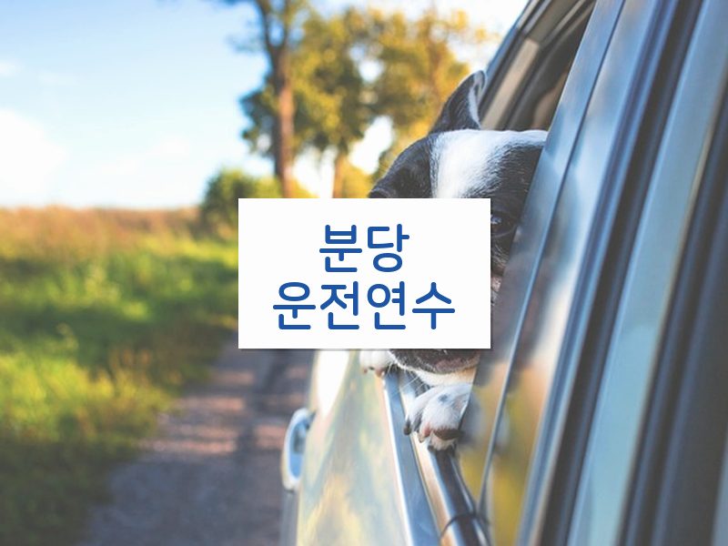 분당운전연수 후기