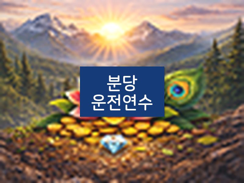 분당운전연수 후기