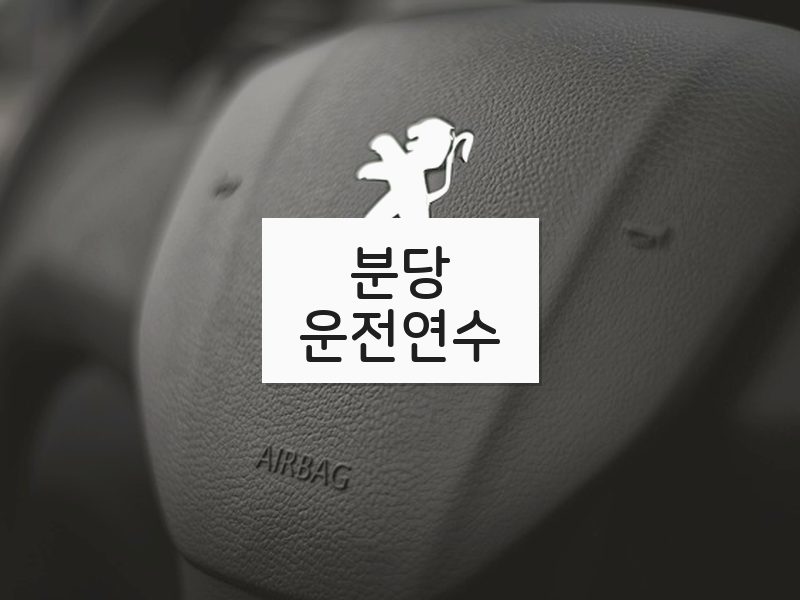 분당운전연수 후기