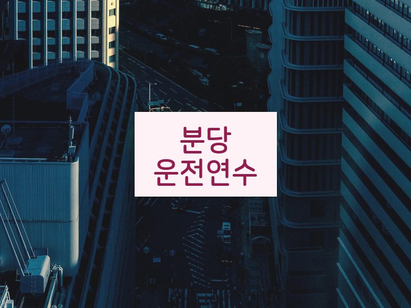 분당운전연수 후기