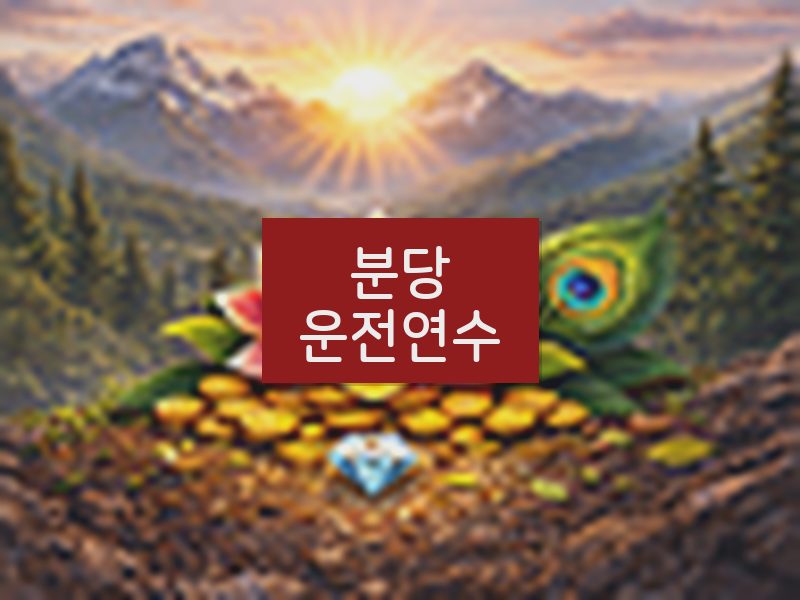 분당운전연수 후기