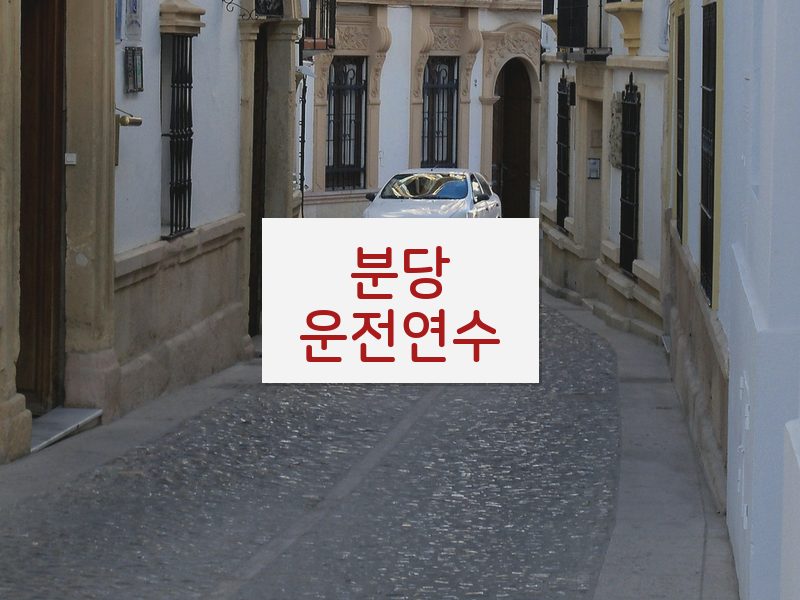 분당운전연수 후기