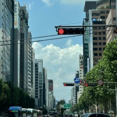 세상이 더 넓어진 느낌