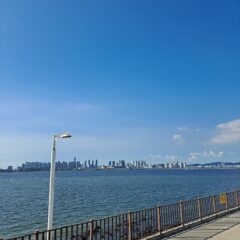 우측 후미경 쓰기